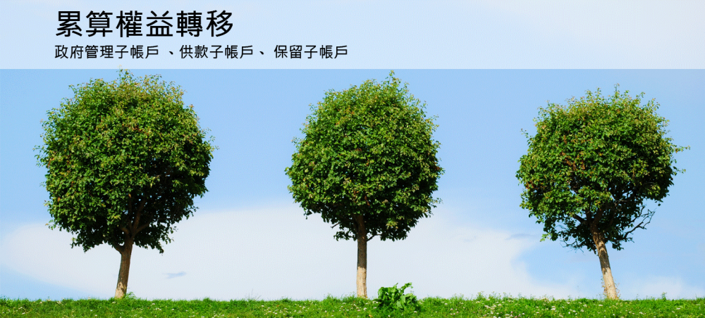 Say tree. Три дерева рядом. Деревья 3 штуки на одной картинке. Три дерева большое среднее маленькое. Three three it's a Tree